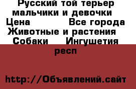 Русский той-терьер мальчики и девочки › Цена ­ 8 000 - Все города Животные и растения » Собаки   . Ингушетия респ.